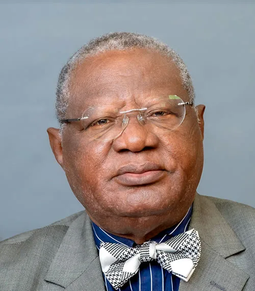 Portrait of Sir Steve Bamidele Omojafor (OON)