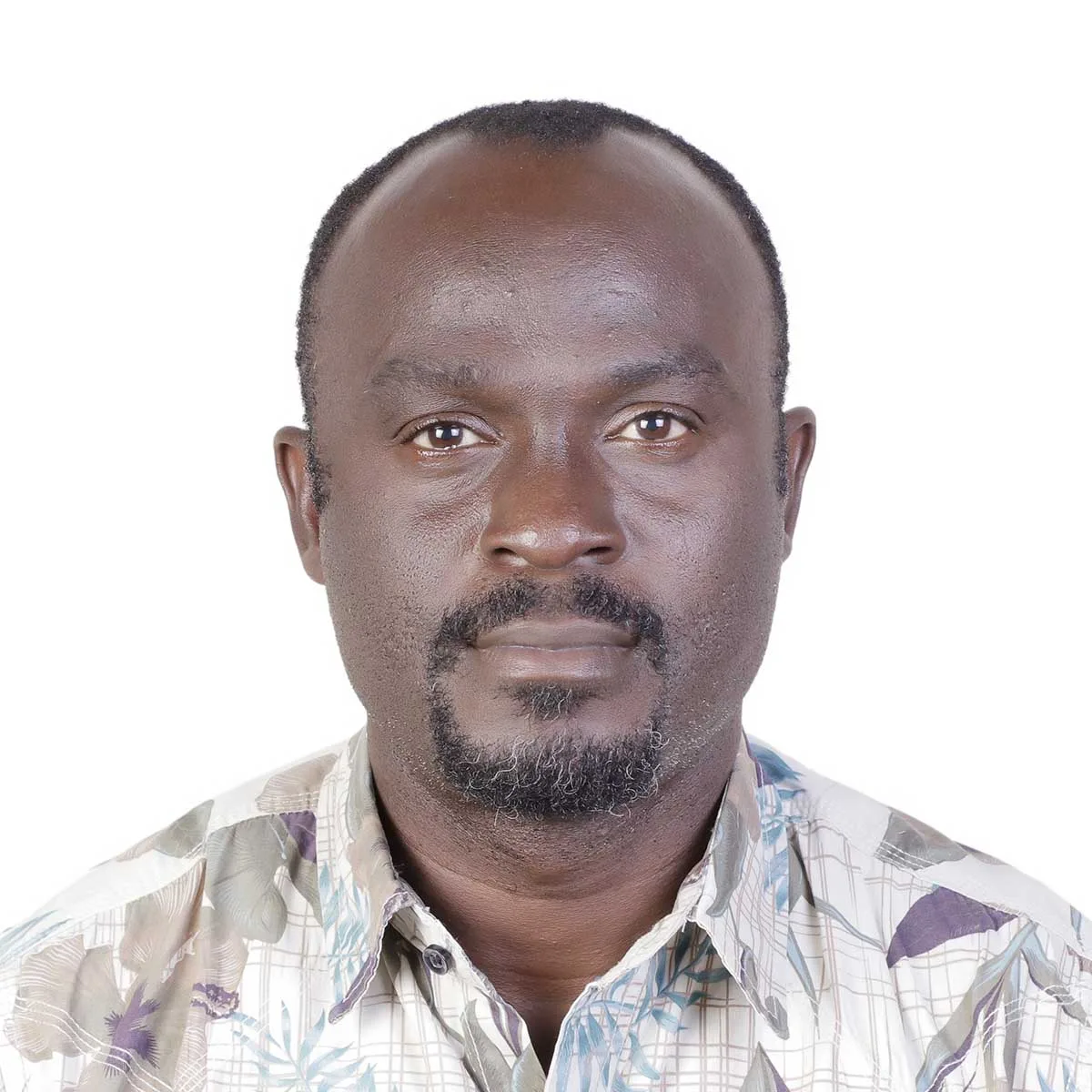 Portrait of Bernard Akinwande